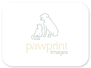 Logo Design by Bri Williams-Powell for this project | Design: #146526