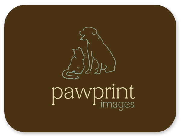 Logo Design by Bri Williams-Powell for this project | Design #146527