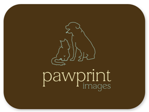 Logo Design by Bri Williams-Powell for this project | Design: #146527