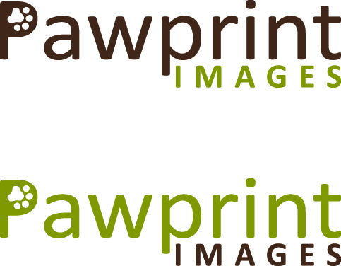 Logo Design by Design Possibilities for this project | Design #147138