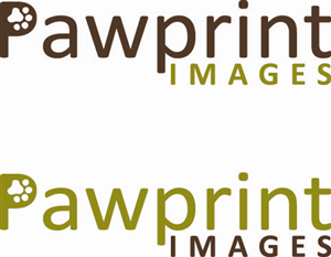 Logo Design by Design Possibilities for this project | Design: #147138