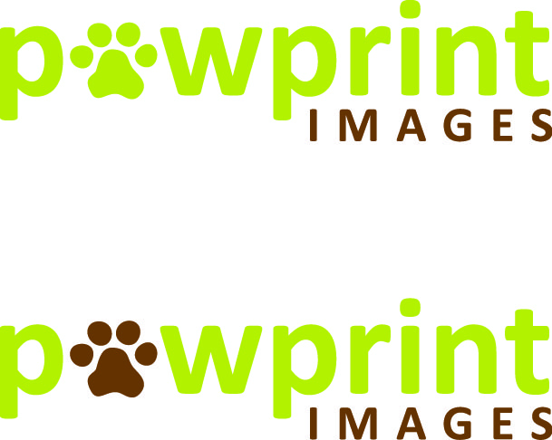 Logo Design by Design Possibilities for this project | Design #147142