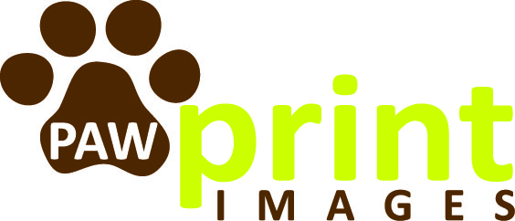 Logo Design by Design Possibilities for this project | Design #147145