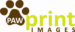 Logo Design by Design Possibilities for this project | Design: #147145