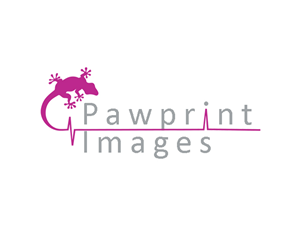 Logo Design by Alireza Mirzaei for this project | Design: #140909
