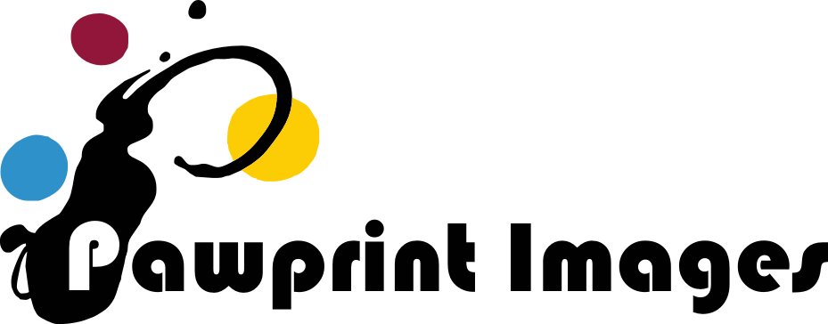 Logo Design by Alireza Mirzaei for this project | Design #145032