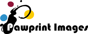 Logo Design by Alireza Mirzaei for this project | Design: #145032