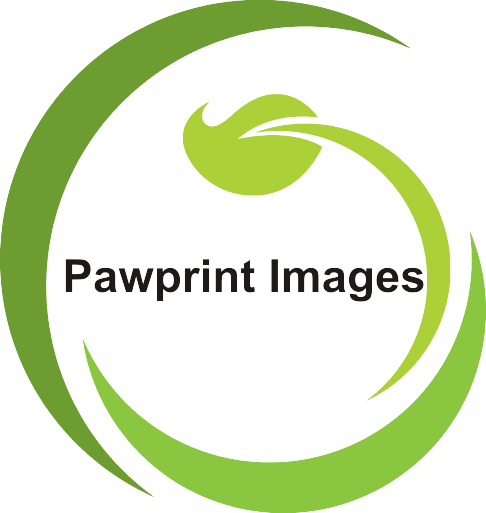 Logo Design by Alireza Mirzaei for this project | Design #145616