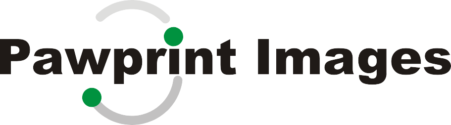 Logo Design by Alireza Mirzaei for this project | Design #146771