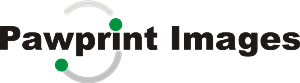 Logo Design by Alireza Mirzaei for this project | Design: #146771
