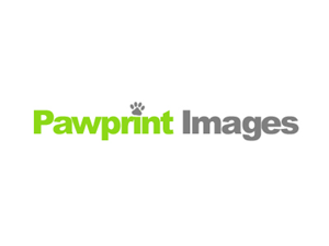 Logo Design by Max Thornton