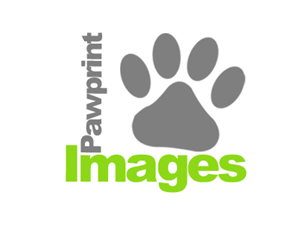 Logo Design by Max Thornton for this project | Design: #140838