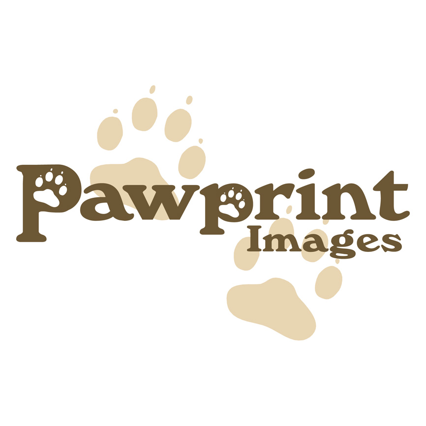 Logo Design by clever graphics for this project | Design #145625
