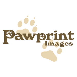 Design de Logo par clever graphics pour ce projet | Design #145625