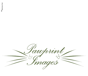 Design de Logo par Barbara Gur pour ce projet | Design #146592