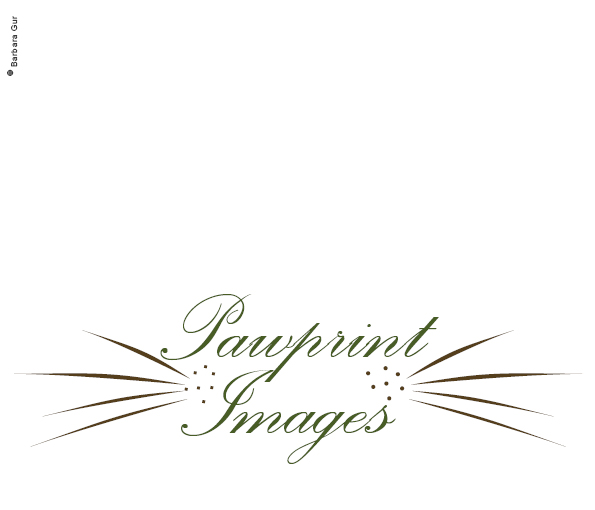 Logo Design by Barbara Gur for this project | Design #146593
