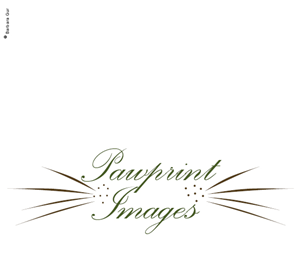 Logo Design by Barbara Gur for this project | Design: #146593