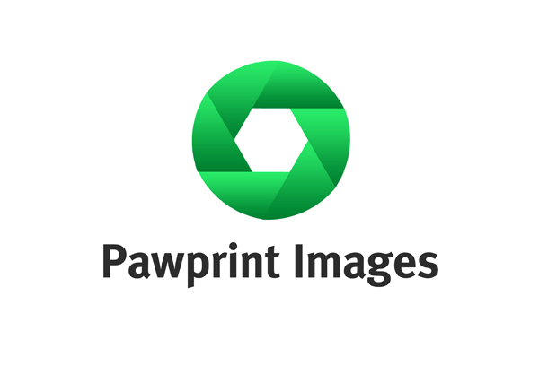 Logo Design by Adrian P for this project | Design #140223