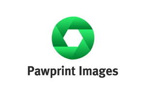 Logo Design by Adrian P for this project | Design: #140223
