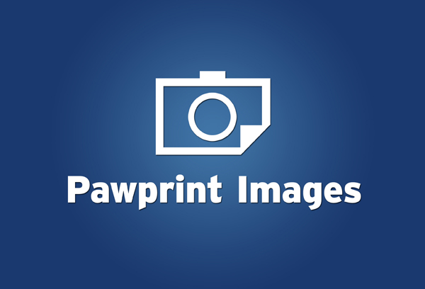 Logo Design by Adrian P for this project | Design #140224