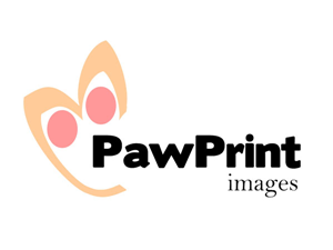 Design de Logo par M3Z pour ce projet | Design #147110
