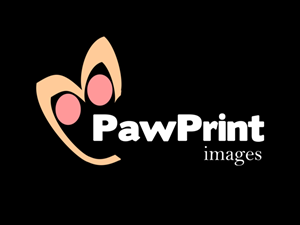Logo Design by M3Z for this project | Design: #147128