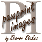 Logo Design by tena for this project | Design #146457