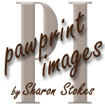 Logo Design by tena for this project | Design: #146458