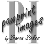 Logo Design by tena for this project | Design: #146459
