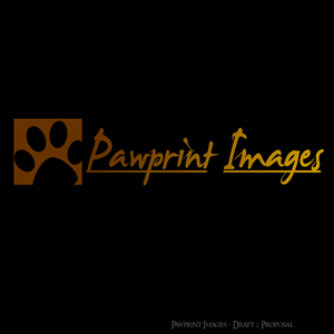 Logo Design by SPLATmedia for this project | Design: #146618