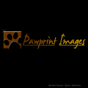 Logo Design by SPLATmedia for this project | Design: #146620