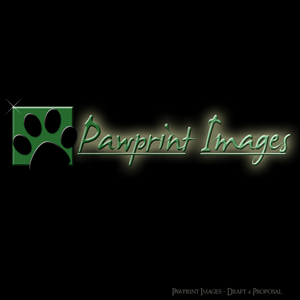 Logo Design by SPLATmedia for this project | Design: #146621