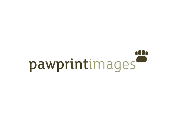 Logo Design by FFF! for this project | Design #146532