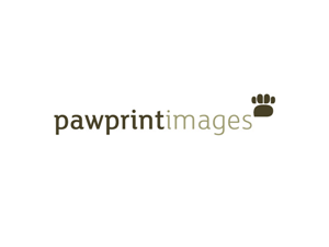 Logo Design by FFF! for this project | Design: #146532