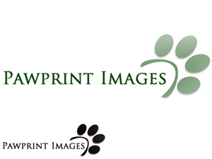 Logo Design by Gavin Walker for this project | Design: #142334