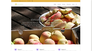 Web Design by albertolempira