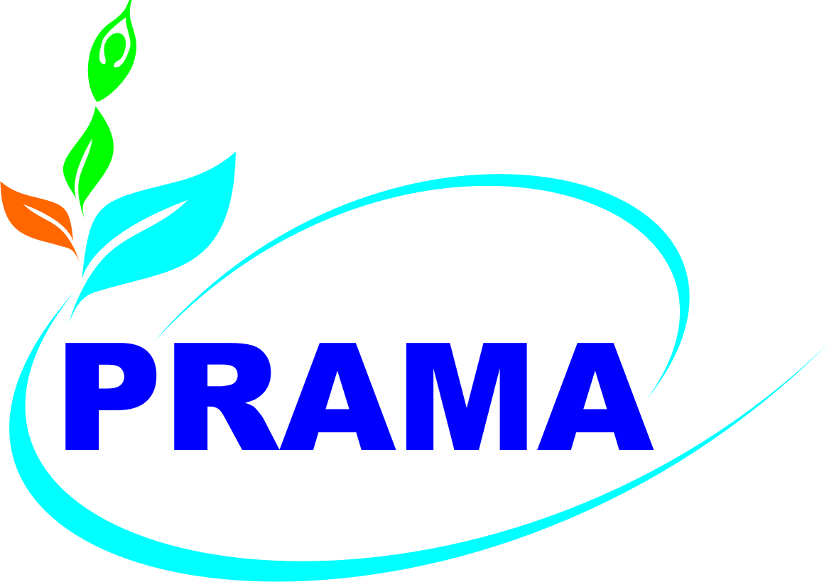 Logo-Design von ElizabetaA für Prama Institute | Design #1109127