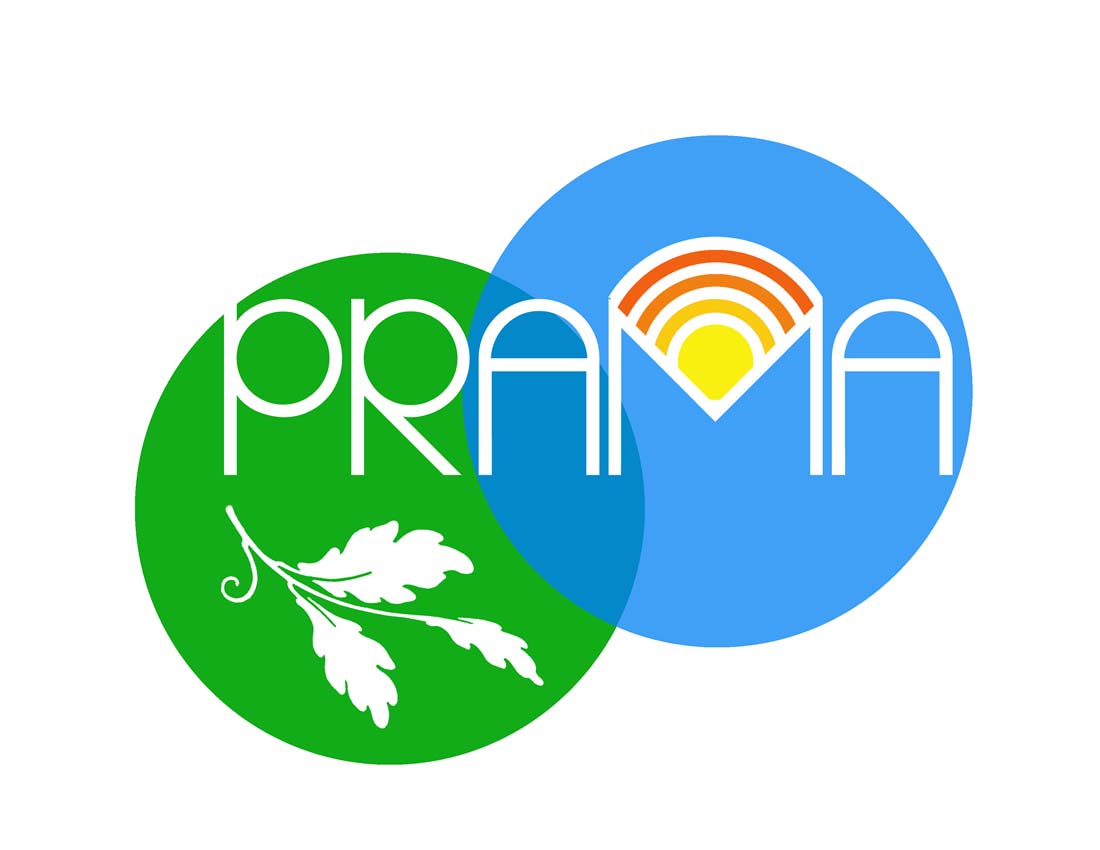 Logo-Design von JBandhu für Prama Institute | Design #1146693