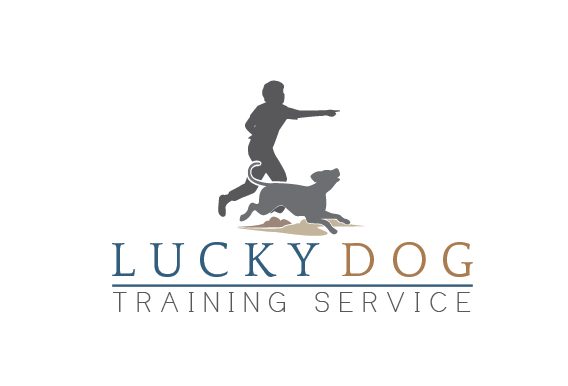 Logo Design by Accomplice for this project | Design #1102357