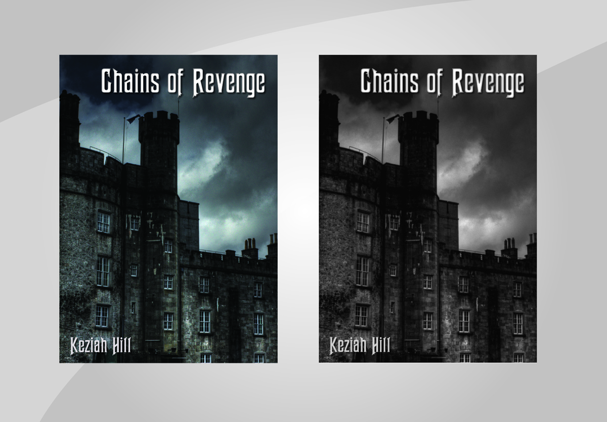 eBook Cover Design by Harry Hale Design for Harlequin Enterprises  | Design #1093324