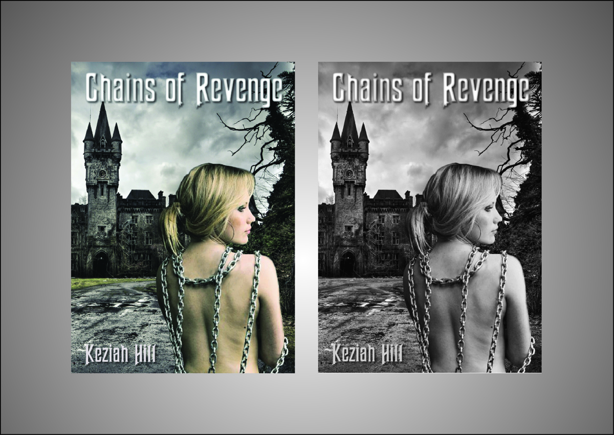 eBook Cover Design by Harry Hale Design for Harlequin Enterprises  | Design #1096462