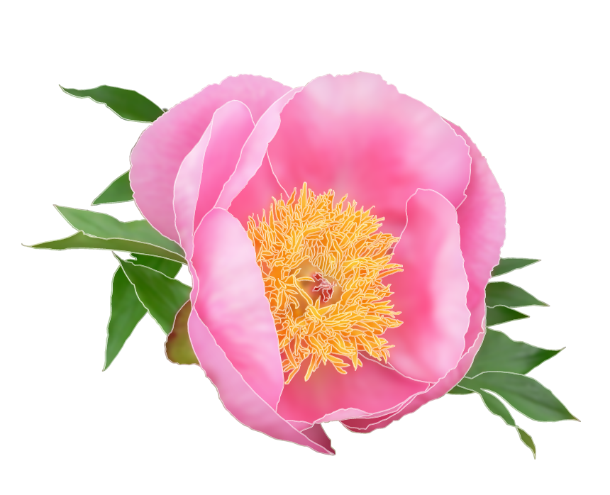 Logo Design by Tyeise for this project | Design #4070361