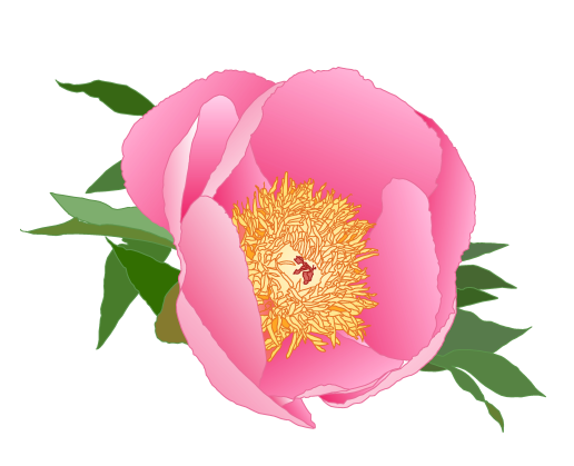 Logo Design by Tyeise for this project | Design #4070365