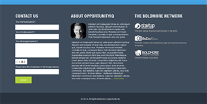 Landing Page Design by Expert Designer for Boldmore Growth Partners | Design: #4041007