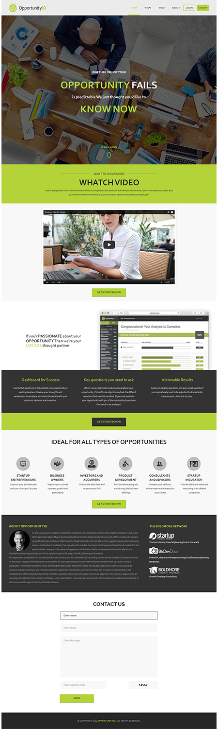 Diseño de Página de Aterrizaje por ThemeDesk Technology para Boldmore Growth Partners | Diseño #4050789