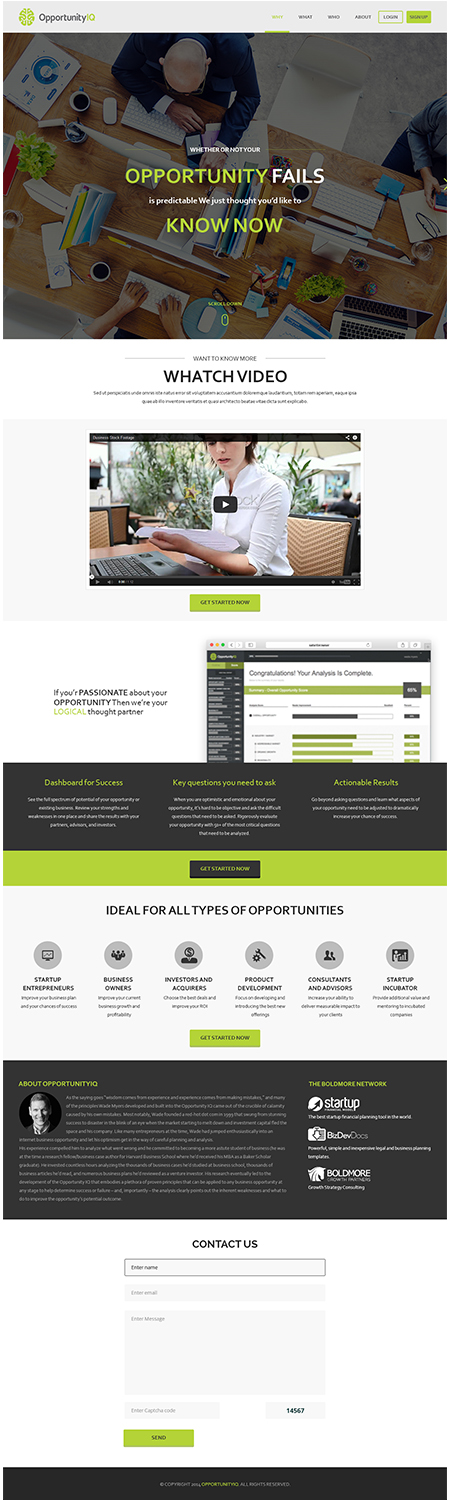 Diseño de Página de Aterrizaje por ThemeDesk Technology para Boldmore Growth Partners | Diseño #4050792