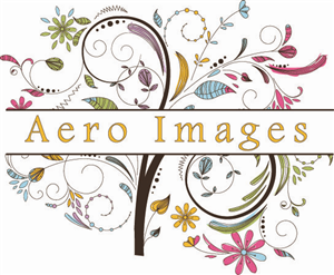 Logo Design by Effective Art Boutique