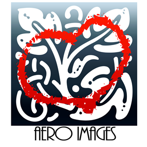 Logo Design by indio809