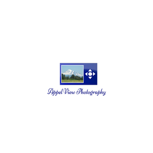 Logo Design by bradoral