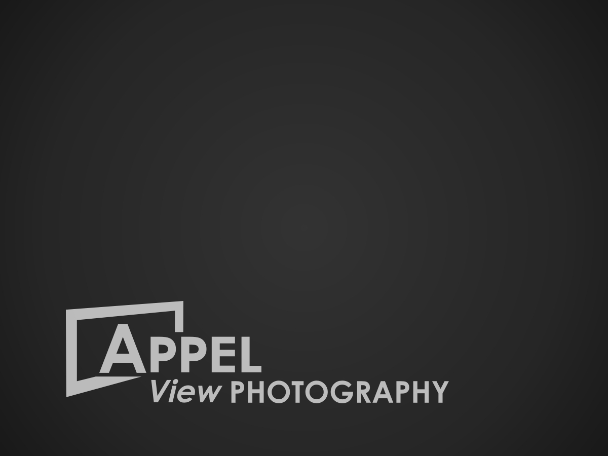 Logo-Design von M Sidik Pramono für dieses Projekt | Design #4047853